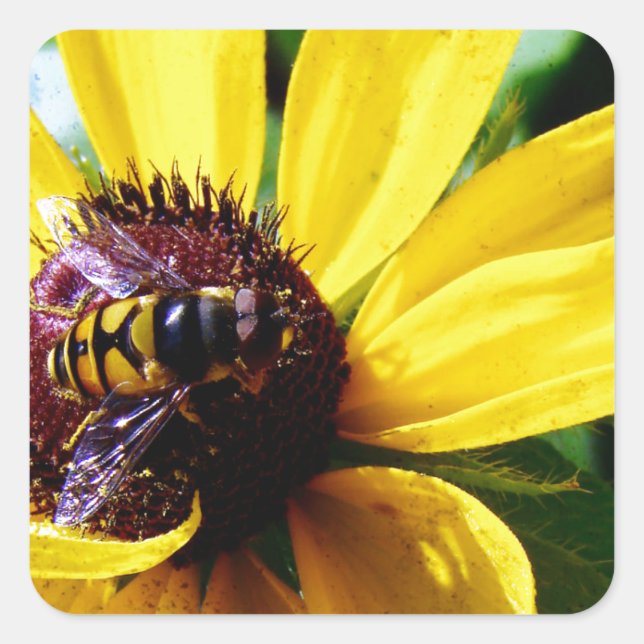 Bee and Yellow Flower Square Sticker (Front)