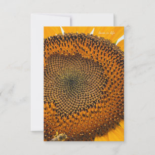 Bee Antennae & Sunflower  Card