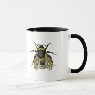 Bee antique illustration mug