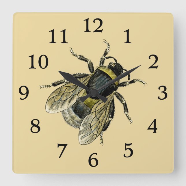 Bee antique illustration square wall clock (Front)