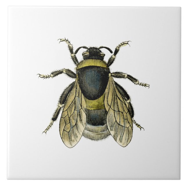 Bee antique illustration tile (Front)