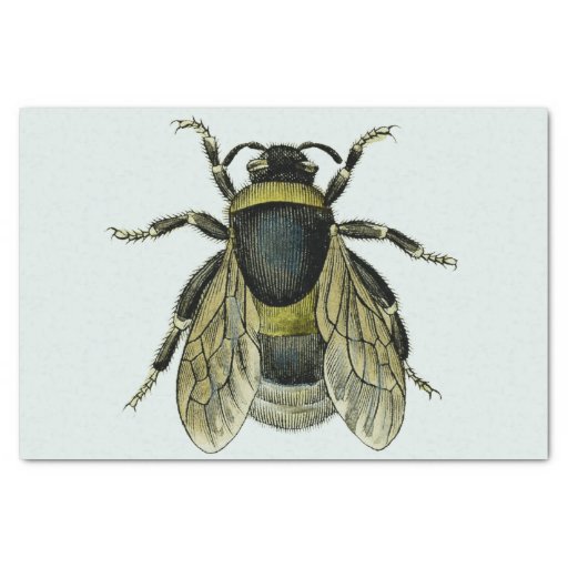 Bee antique illustration Tissue Paper