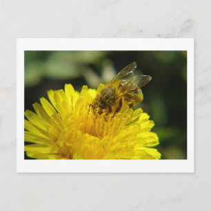 Bee at Work Postcard
