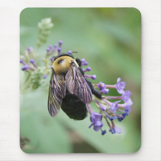 Bee-autiful Bee Mouse Mat (Front)