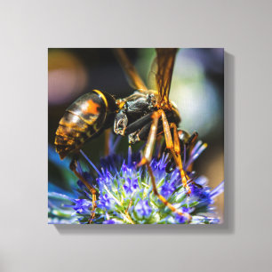 Bee Aware 12" x 12", 1.5", Single Wrapped Canvas