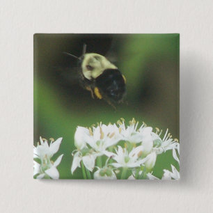 Bee Away 15 Cm Square Badge