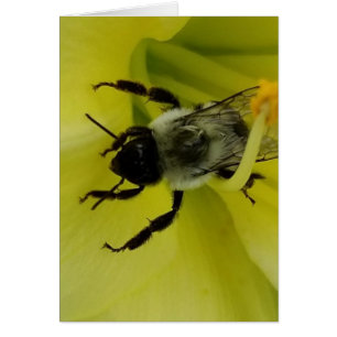 BEE AWESOME - CHRISTIAN GREETING