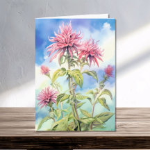 Bee Balm Flowers on a Summer's Day Watercolor 