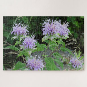 Bee Balm in the Meadow Jigsaw Puzzle