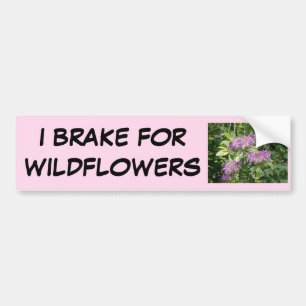 Bee Balm, Monarda Fistulosa Bumper Sticker