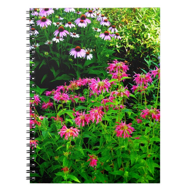 Bee Balm Notebook (Front)