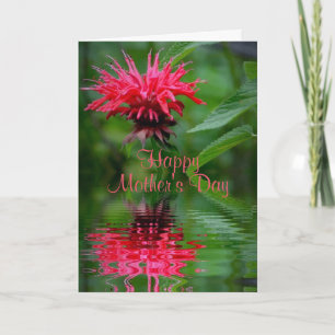 Bee Balm Reflection Mother's Day Card