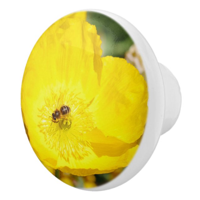 Bee Bathed in Yellow  Ceramic Knob (Right)