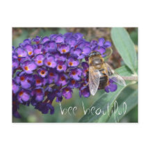 bee beautiful