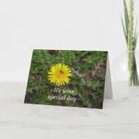 Bee Birthday For All