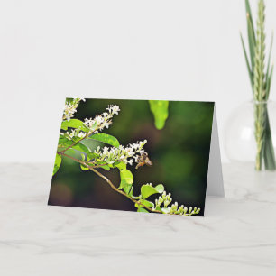 Bee Blossom Scripture Card Psalm 119:103