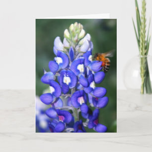 Bee & Bluebonnet Card