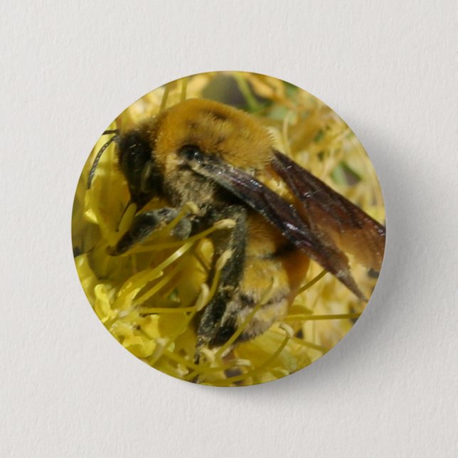 Bee Button (Front)