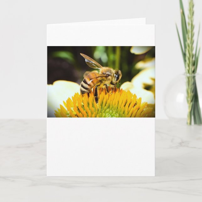 Bee, card (Front)