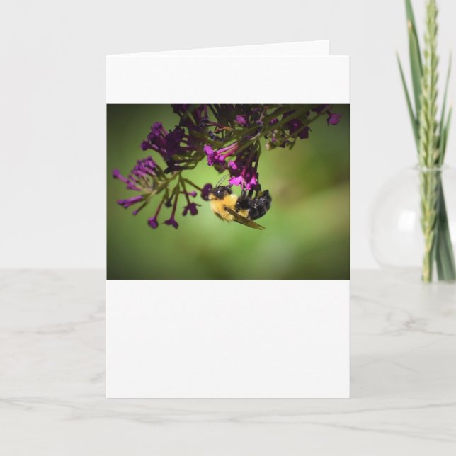 Bee, card (Front)