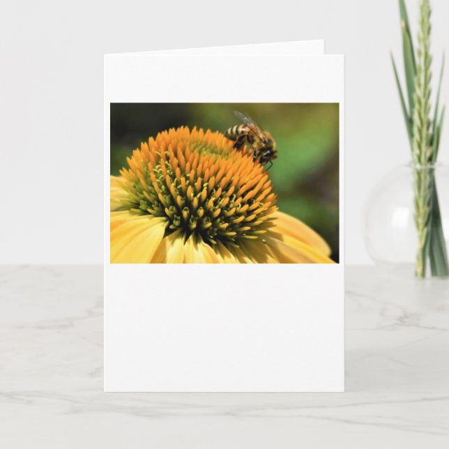 Bee, card (Front)