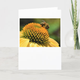 Bee, card