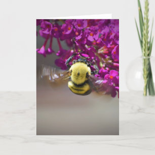 Bee, card
