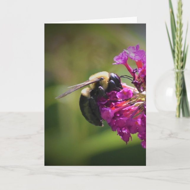 Bee, card (Front)