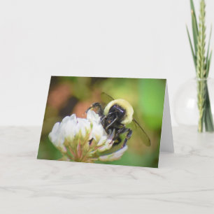 Bee, card