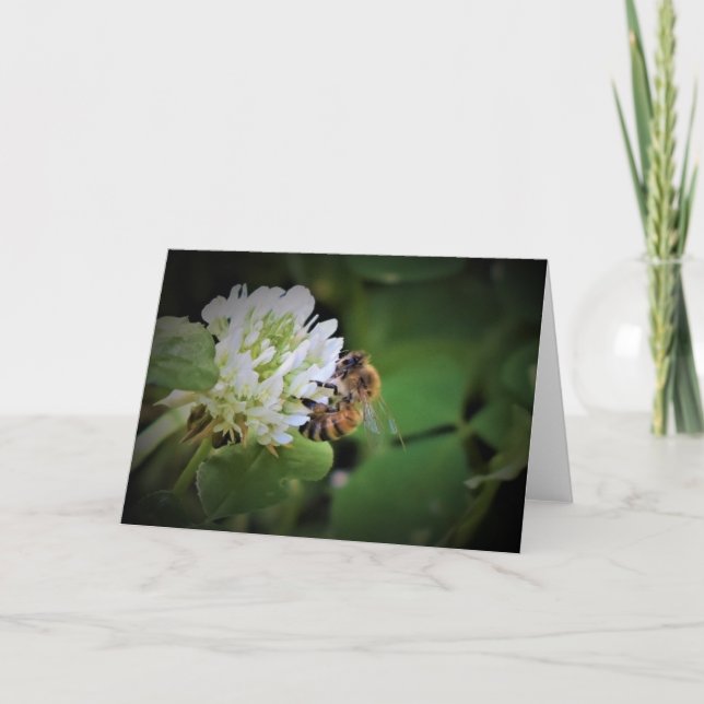 Bee, card (Front)