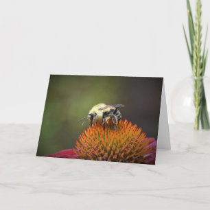 Bee, card