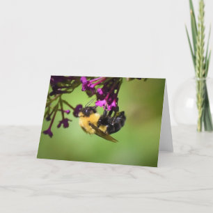 Bee, card
