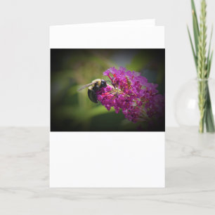 Bee, card