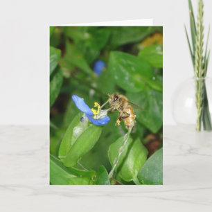 Bee Card