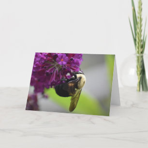 Bee, card