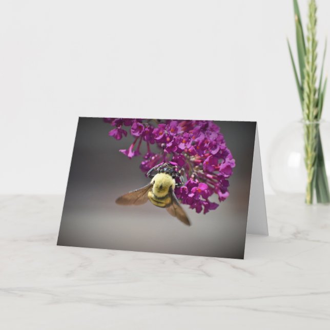 Bee, card (Front)