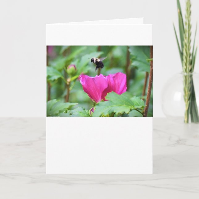 Bee, card (Front)
