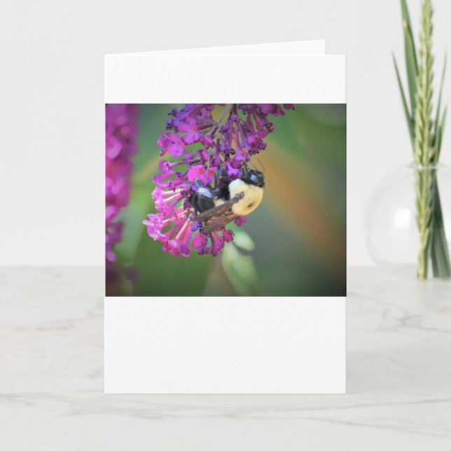 Bee, card (Front)