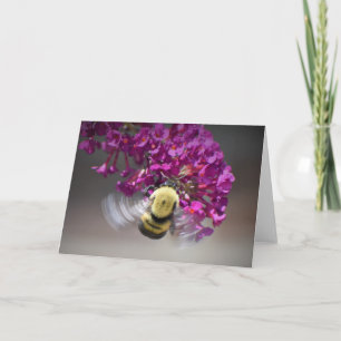 Bee, card