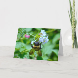 Bee, card