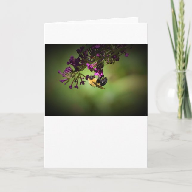 Bee, card (Front)
