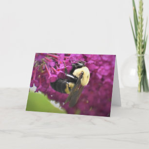 Bee, card