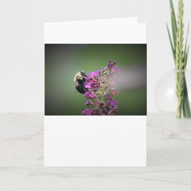 Bee, card (Front)