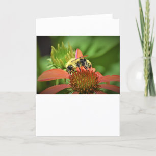 Bee, card