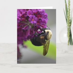 Bee, card