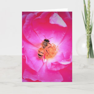 Bee, card