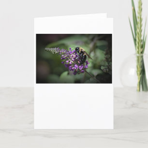 Bee, card