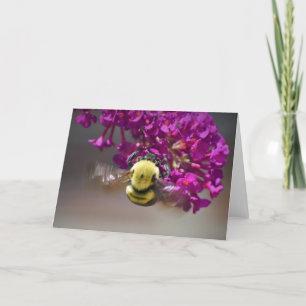 Bee, card
