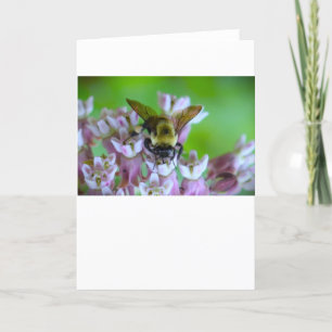 Bee, card
