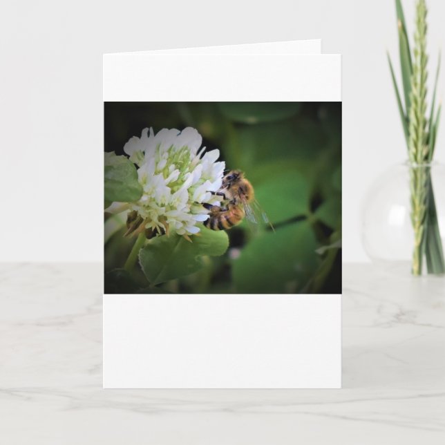 Bee, card (Front)